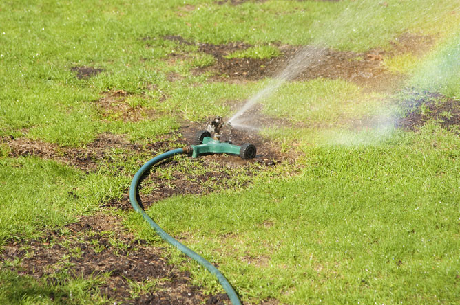 How to repair a damaged lawn