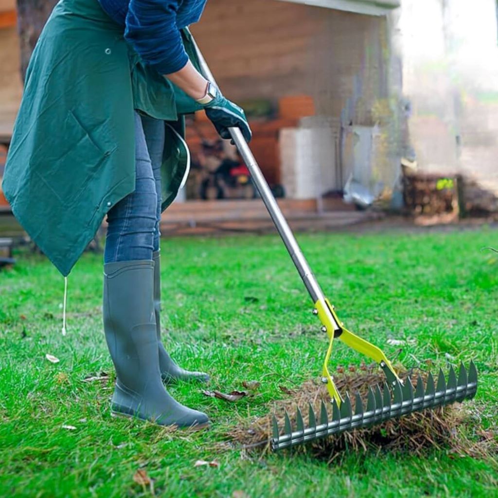 Essential Lawn Maintenance Tools Every Homeowner Needs
